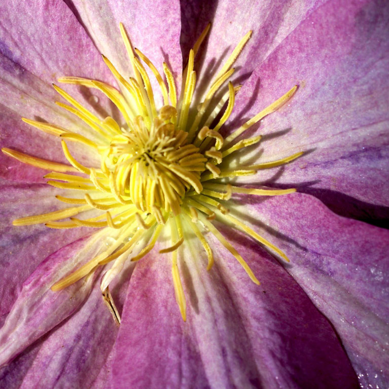 2012 05 12 Secor Farms